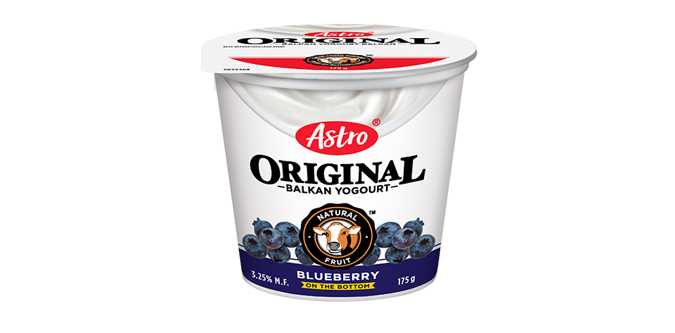 ASTRO YOGURT FOB BLUEBERRY