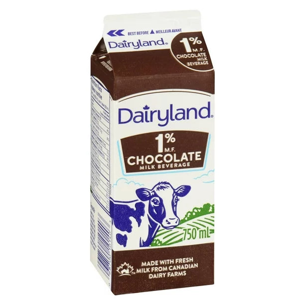 Dairyland Chocolate Milk 750ml