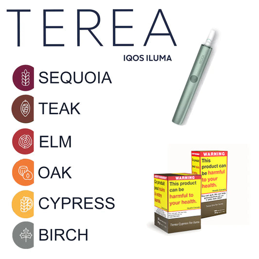Terea Sticks 54