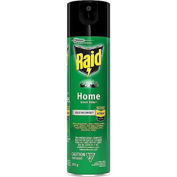 RAID HOME INSECT KILLER