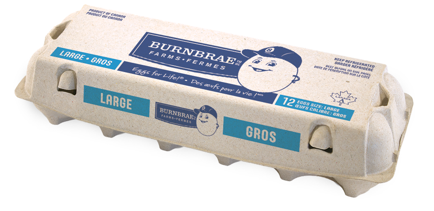 BURNBRAE EGGS LARGE WHITE BOX